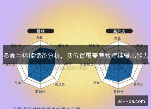 多面手体能储备分析，多位置覆盖考验持续输出能力